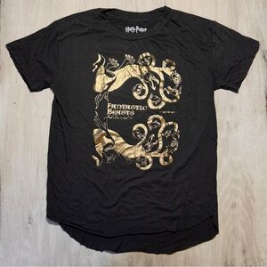 Harry Potter Fantastic Beasts Metallic Graphic T-Shirt